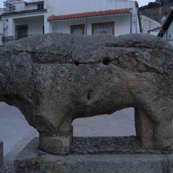 Click para ampliar. Pulsa en el nombre para ver la ficha. Toro de Segura de Toro (Cáceres)